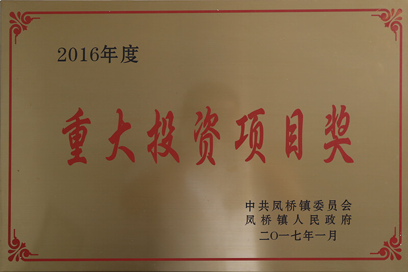 2016年度重大项目投资奖